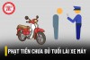 KẾ HOẠCH TRIỂN KHAI THỰC HIỆN QUY ĐỊNH CỦA PHÁP LUẬT VỀ "KHÔNG GIAO XE CHO NGƯỜI KHÔNG ĐỦ ĐIỀU KIỆN ĐIỀU KHIỂN PHƯƠNG TIỆN THAM GIA GIAO THÔNG" TRONG CÁC CƠ SỞ GIÁO DỤC TRÊN ĐỊA BÀN TỈNH QUẢNG NINH