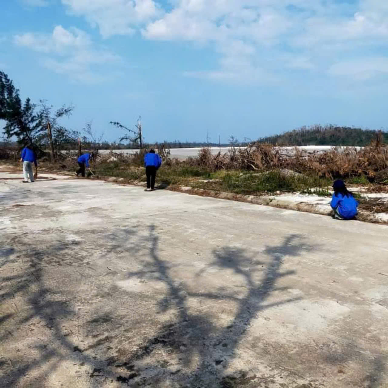 ĐOÀN VIÊN THANH NIÊN TRƯỜNG THPT CÔ TÔ HƯỞNG ỨNG NGÀY CHỦ NHẬT XANH TOÀN QUỐC LẦN THỨ IV NĂM 2024